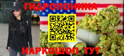 бошки Дмитров