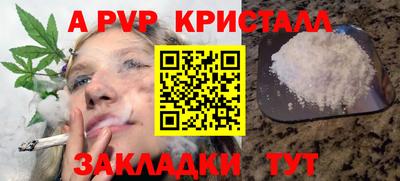 дмт Долгопрудный