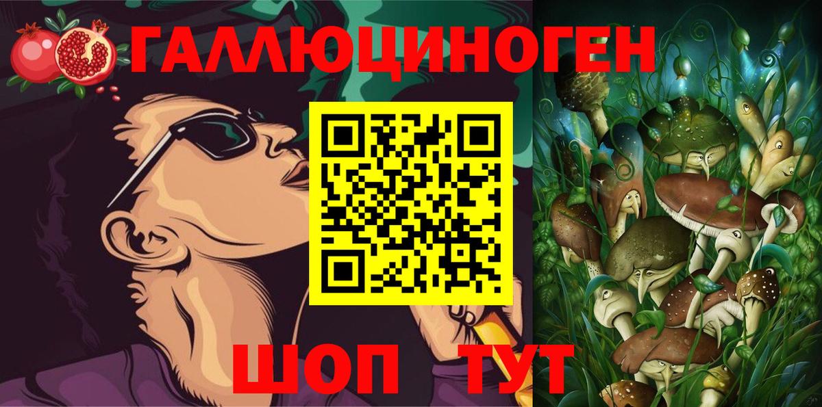 Псилоцибиновые грибы Psilocybe Гудермес