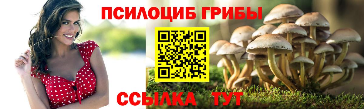 Псилоцибиновые грибы прущие грибы  Псилоцибиновые грибы мицелий  Вход с VPN  Гудермес 
